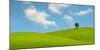 Lonely Tree on Lush Green Grass in Front of Blue Sky on a Hill in Tuscany Countryside, Italy-yalcinsonat1-Mounted Photographic Print