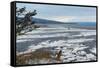Lonely Tree Overlooking Frozen Tidal Flats-Latitude 59 LLP-Framed Stretched Canvas