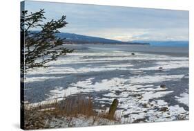 Lonely Tree Overlooking Frozen Tidal Flats-Latitude 59 LLP-Stretched Canvas