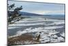 Lonely Tree Overlooking Frozen Tidal Flats-Latitude 59 LLP-Mounted Photographic Print