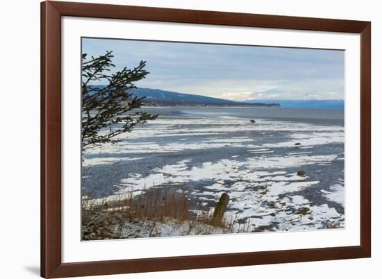 Lonely Tree Overlooking Frozen Tidal Flats-Latitude 59 LLP-Framed Photographic Print