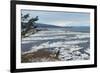 Lonely Tree Overlooking Frozen Tidal Flats-Latitude 59 LLP-Framed Photographic Print