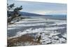 Lonely Tree Overlooking Frozen Tidal Flats-Latitude 59 LLP-Mounted Photographic Print