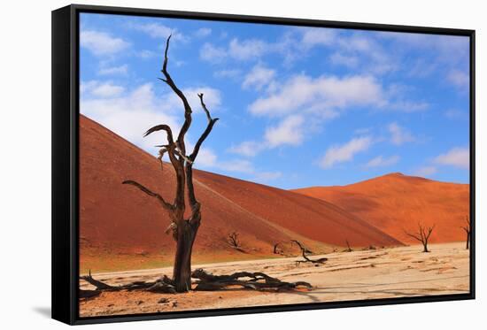 Lonely Tree Skeleton, Deadvlei, Namibia-Grobler du Preez-Framed Stretched Canvas