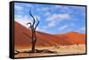 Lonely Tree Skeleton, Deadvlei, Namibia-Grobler du Preez-Framed Stretched Canvas