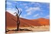 Lonely Tree Skeleton, Deadvlei, Namibia-Grobler du Preez-Stretched Canvas