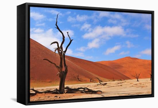 Lonely Tree Skeleton, Deadvlei, Namibia-Grobler du Preez-Framed Stretched Canvas