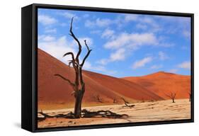 Lonely Tree Skeleton, Deadvlei, Namibia-Grobler du Preez-Framed Stretched Canvas