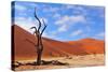 Lonely Tree Skeleton, Deadvlei, Namibia-Grobler du Preez-Stretched Canvas