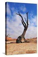 Lonely Tree Skeleton, Deadvlei, Namibia-Grobler du Preez-Stretched Canvas