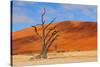 Lonely Tree Skeleton, Deadvlei, Namibia-Grobler du Preez-Stretched Canvas