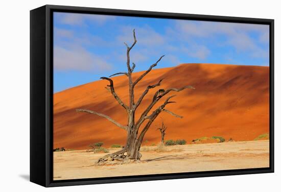 Lonely Tree Skeleton, Deadvlei, Namibia-Grobler du Preez-Framed Stretched Canvas