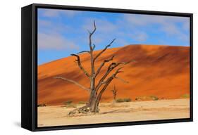 Lonely Tree Skeleton, Deadvlei, Namibia-Grobler du Preez-Framed Stretched Canvas