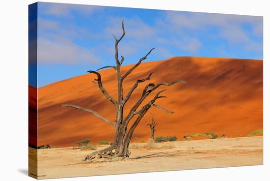 Lonely Tree Skeleton, Deadvlei, Namibia-Grobler du Preez-Stretched Canvas