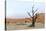 Lonely Tree Skeleton, Deadvlei, Namibia-Grobler du Preez-Stretched Canvas