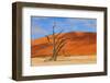 Lonely Tree Skeleton, Deadvlei, Namibia-Grobler du Preez-Framed Photographic Print