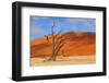 Lonely Tree Skeleton, Deadvlei, Namibia-Grobler du Preez-Framed Photographic Print