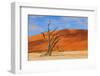 Lonely Tree Skeleton, Deadvlei, Namibia-Grobler du Preez-Framed Photographic Print