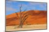 Lonely Tree Skeleton, Deadvlei, Namibia-Grobler du Preez-Mounted Photographic Print