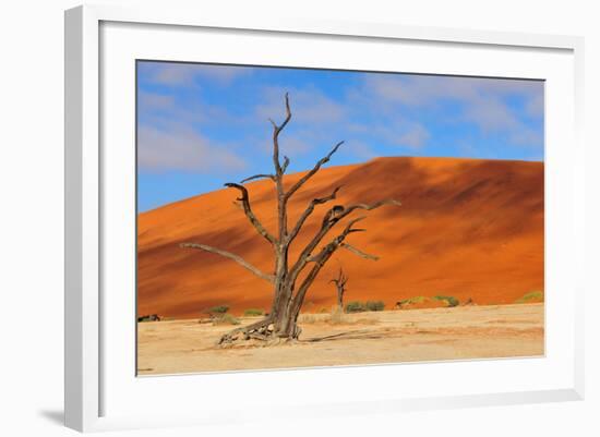 Lonely Tree Skeleton, Deadvlei, Namibia-Grobler du Preez-Framed Photographic Print