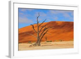 Lonely Tree Skeleton, Deadvlei, Namibia-Grobler du Preez-Framed Photographic Print