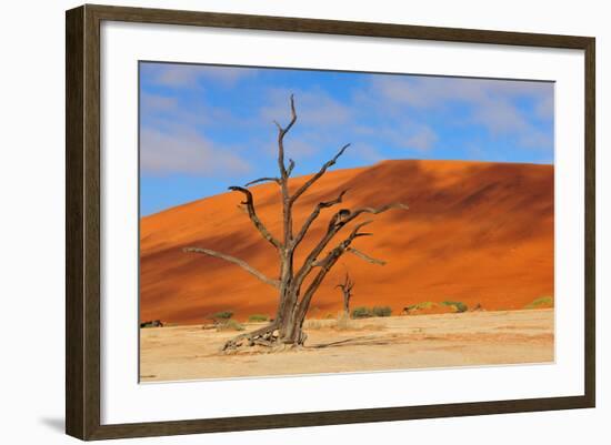 Lonely Tree Skeleton, Deadvlei, Namibia-Grobler du Preez-Framed Photographic Print