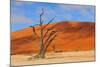 Lonely Tree Skeleton, Deadvlei, Namibia-Grobler du Preez-Mounted Photographic Print