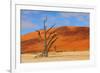 Lonely Tree Skeleton, Deadvlei, Namibia-Grobler du Preez-Framed Photographic Print