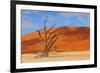 Lonely Tree Skeleton, Deadvlei, Namibia-Grobler du Preez-Framed Photographic Print