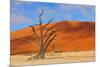 Lonely Tree Skeleton, Deadvlei, Namibia-Grobler du Preez-Mounted Photographic Print