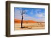 Lonely Tree Skeleton, Deadvlei, Namibia-Grobler du Preez-Framed Photographic Print