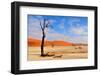 Lonely Tree Skeleton, Deadvlei, Namibia-Grobler du Preez-Framed Photographic Print