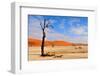 Lonely Tree Skeleton, Deadvlei, Namibia-Grobler du Preez-Framed Photographic Print