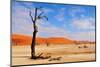 Lonely Tree Skeleton, Deadvlei, Namibia-Grobler du Preez-Mounted Photographic Print