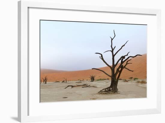 Lonely Tree Skeleton, Deadvlei, Namibia-Grobler du Preez-Framed Photographic Print