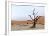 Lonely Tree Skeleton, Deadvlei, Namibia-Grobler du Preez-Framed Photographic Print