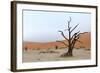 Lonely Tree Skeleton, Deadvlei, Namibia-Grobler du Preez-Framed Photographic Print