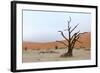 Lonely Tree Skeleton, Deadvlei, Namibia-Grobler du Preez-Framed Photographic Print