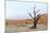 Lonely Tree Skeleton, Deadvlei, Namibia-Grobler du Preez-Mounted Photographic Print