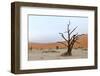 Lonely Tree Skeleton, Deadvlei, Namibia-Grobler du Preez-Framed Photographic Print