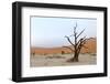 Lonely Tree Skeleton, Deadvlei, Namibia-Grobler du Preez-Framed Photographic Print