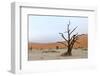 Lonely Tree Skeleton, Deadvlei, Namibia-Grobler du Preez-Framed Photographic Print