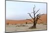 Lonely Tree Skeleton, Deadvlei, Namibia-Grobler du Preez-Mounted Photographic Print