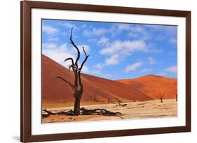 Lonely Tree Skeleton, Deadvlei, Namibia-Grobler du Preez-Framed Photographic Print