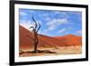 Lonely Tree Skeleton, Deadvlei, Namibia-Grobler du Preez-Framed Photographic Print