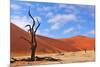 Lonely Tree Skeleton, Deadvlei, Namibia-Grobler du Preez-Mounted Photographic Print