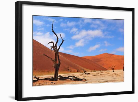 Lonely Tree Skeleton, Deadvlei, Namibia-Grobler du Preez-Framed Photographic Print