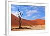 Lonely Tree Skeleton, Deadvlei, Namibia-Grobler du Preez-Framed Photographic Print