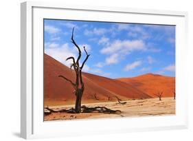 Lonely Tree Skeleton, Deadvlei, Namibia-Grobler du Preez-Framed Photographic Print