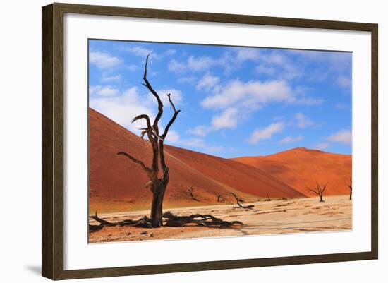 Lonely Tree Skeleton, Deadvlei, Namibia-Grobler du Preez-Framed Photographic Print